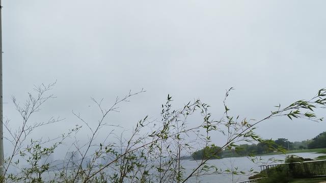 高三了，别太操心孩子学习，劝不动急到崩溃，倒不如多卷父母自己