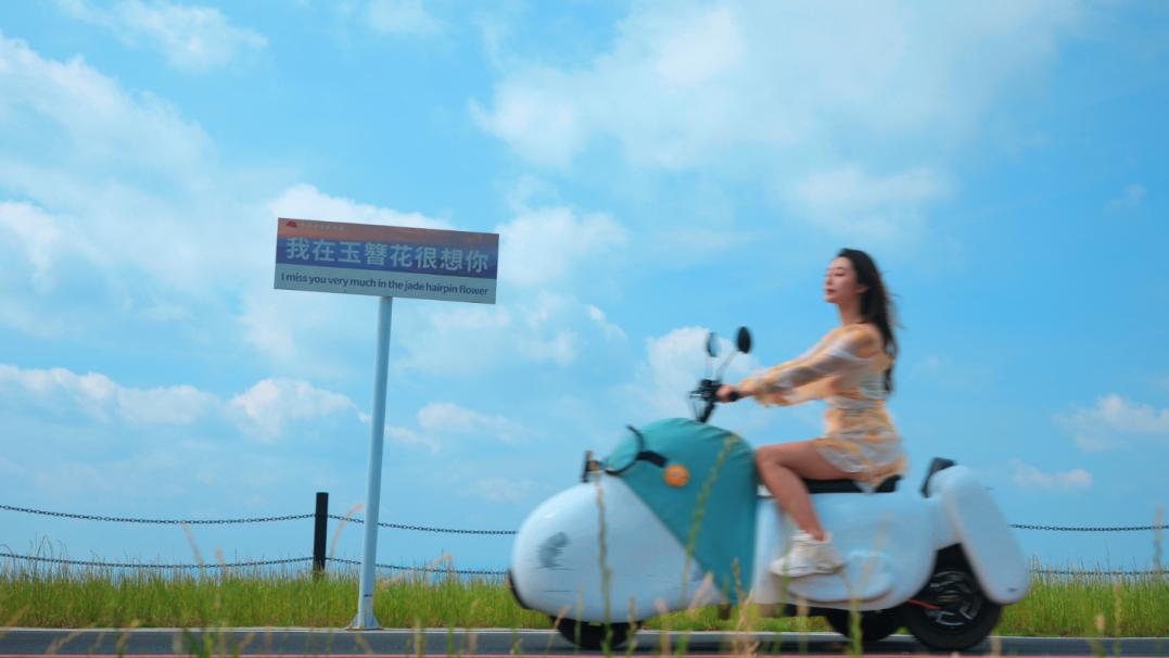 【云端安家】被几万亩玉簪花海托上山顶，这个暑假带娃住进了童话里！