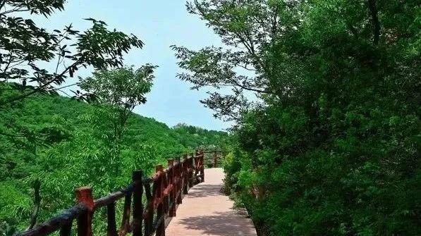 畅游伏羲山大峡谷，体验自然奇观与亲子欢乐的完美邂逅
