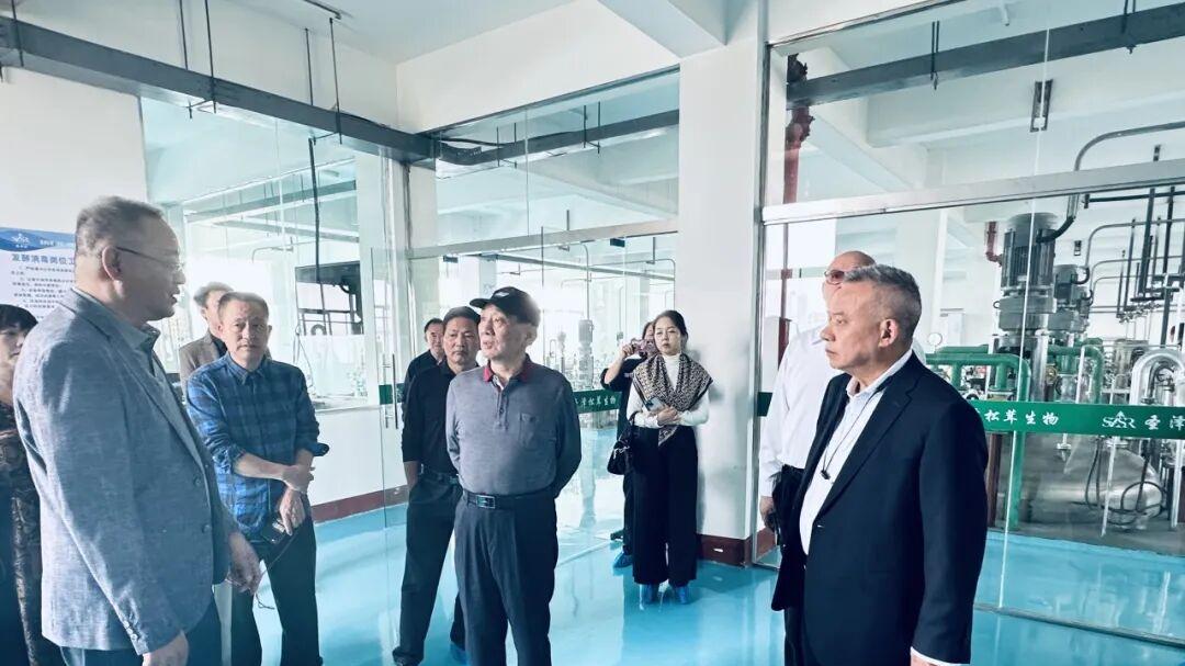 考察洽谈！中投凤丹（武汉）莅临圣泽松茸湖北工厂考察