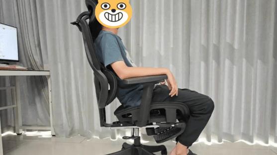 人体工学椅哪款比较好？人体工学椅选夏草木还是永艺？热门人体工学椅详细横评分析