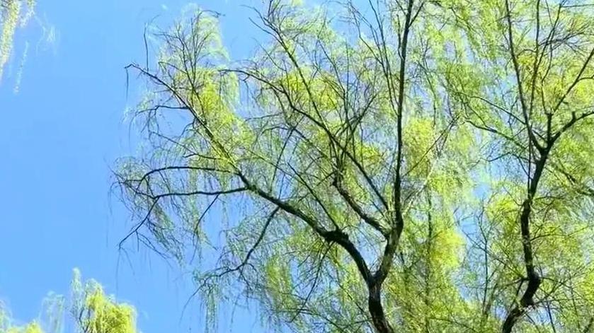 敢于离异的女人背后的“两个字”