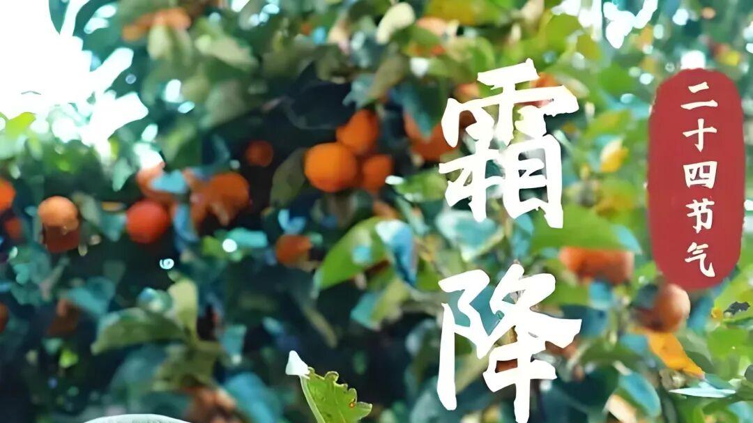 七律·霜降秋色深