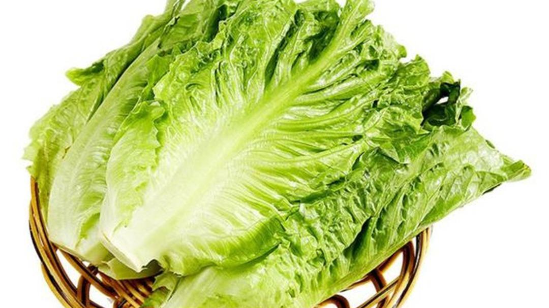 生菜抗病基因，连作土壤改良，拮抗菌添加，发病率对比