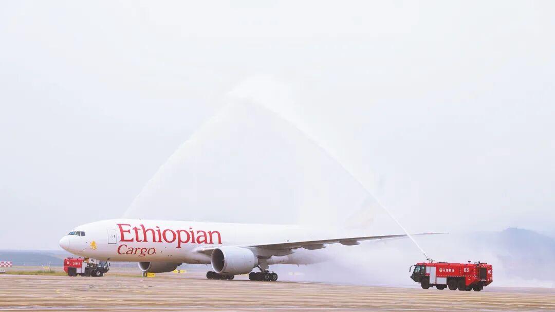 25小时直达中国！埃塞航空首航鄂州花湖，智利车厘子专线正式开通