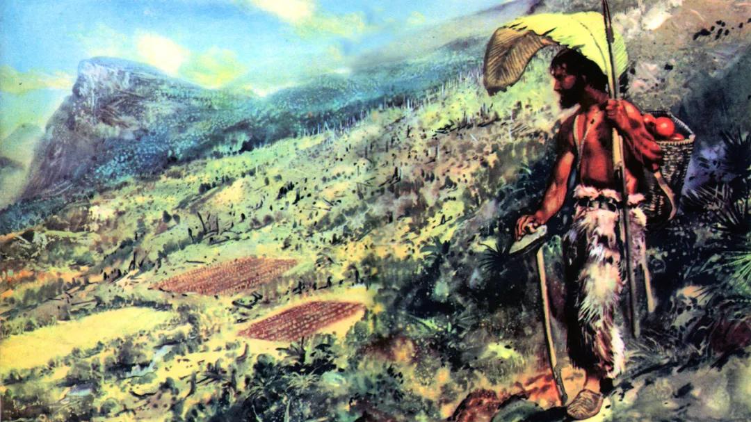 鲁滨逊漂流记，在哪个小岛生活五年？