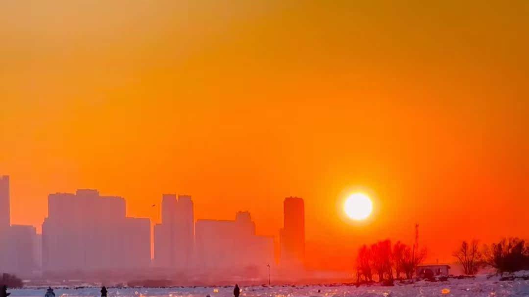 造假的普利制药，岂能一退了之？