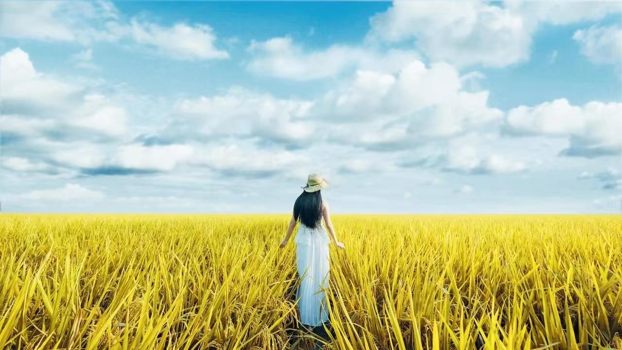 孤独并不可怕，因为我们可以关上灯与自己发光的灵魂为伴
