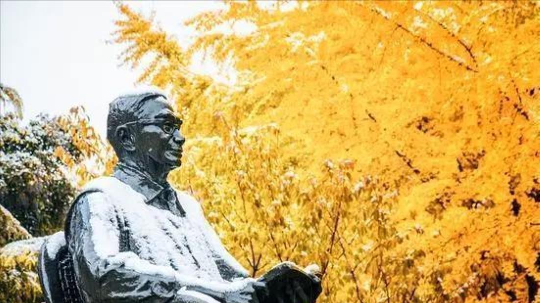 桥梁巨匠茅以升：辉煌事业背后的家国情仇