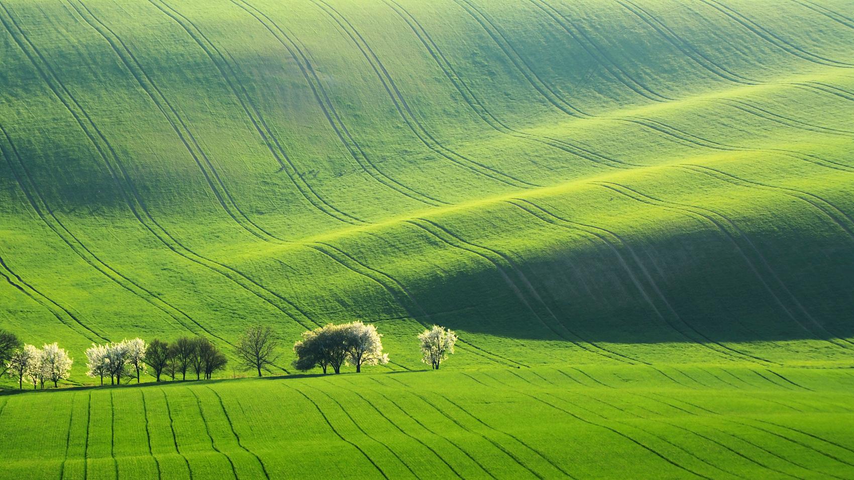 汪缘堂谈三命通会中的白虎持势格