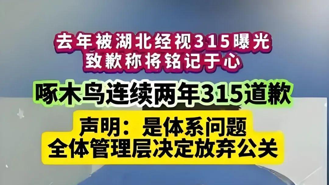 啄木鸟变“维修刺客”，创始人曾痛斥行业99%有猫腻却成始作俑者
