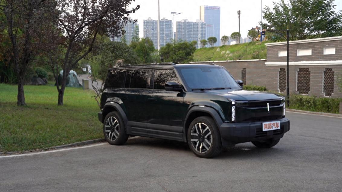 新能源汽车购置税减半，谁"急"了？