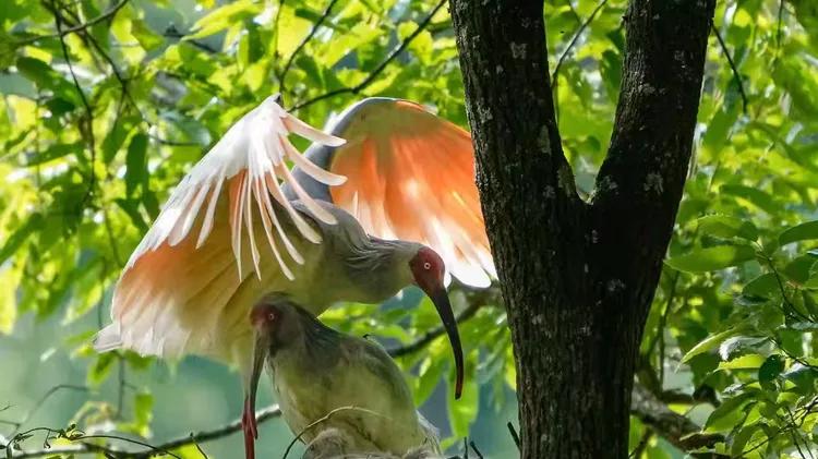 寂静的轰鸣｜陈隽永