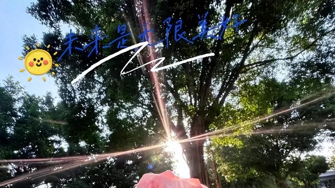 早安正能量简短励志句子，今天也要全力以赴，奔赴热爱！