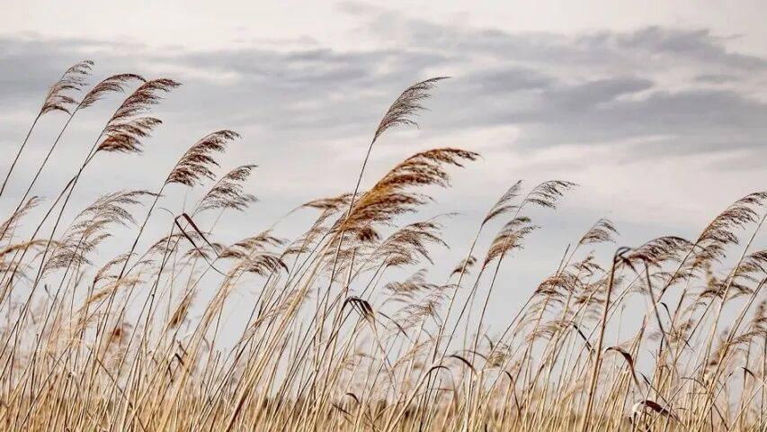 小家电产业迷失在拼低价十字路口