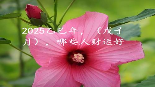 2025乙巳年，冬月（戊子月），哪些人财运好