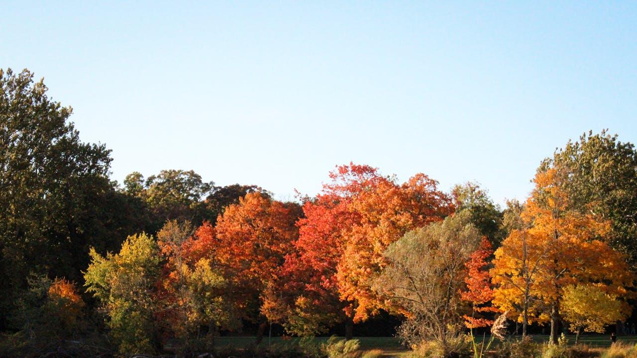 我们都将成为，冬日里的守望者