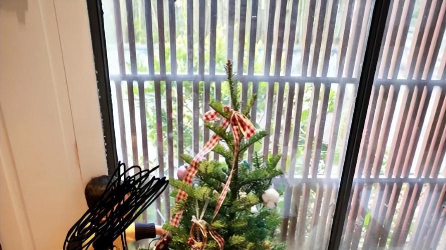 张颂文和兄弟家中聚餐！老婆穿丈夫衬衫秀恩爱，带儿子坐合照C位