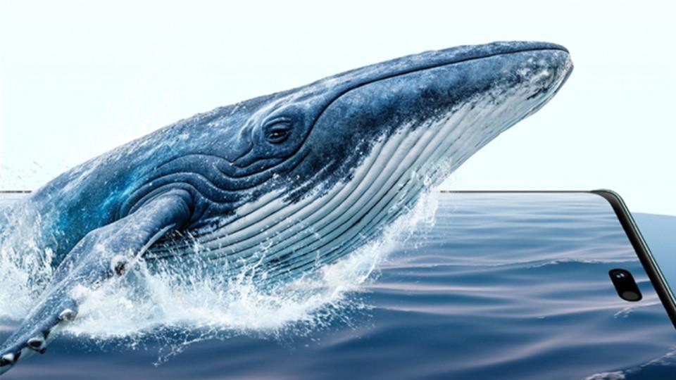 华为畅享70X活力版4月7日开启预订：主打续航和耐摔，售价1600元起