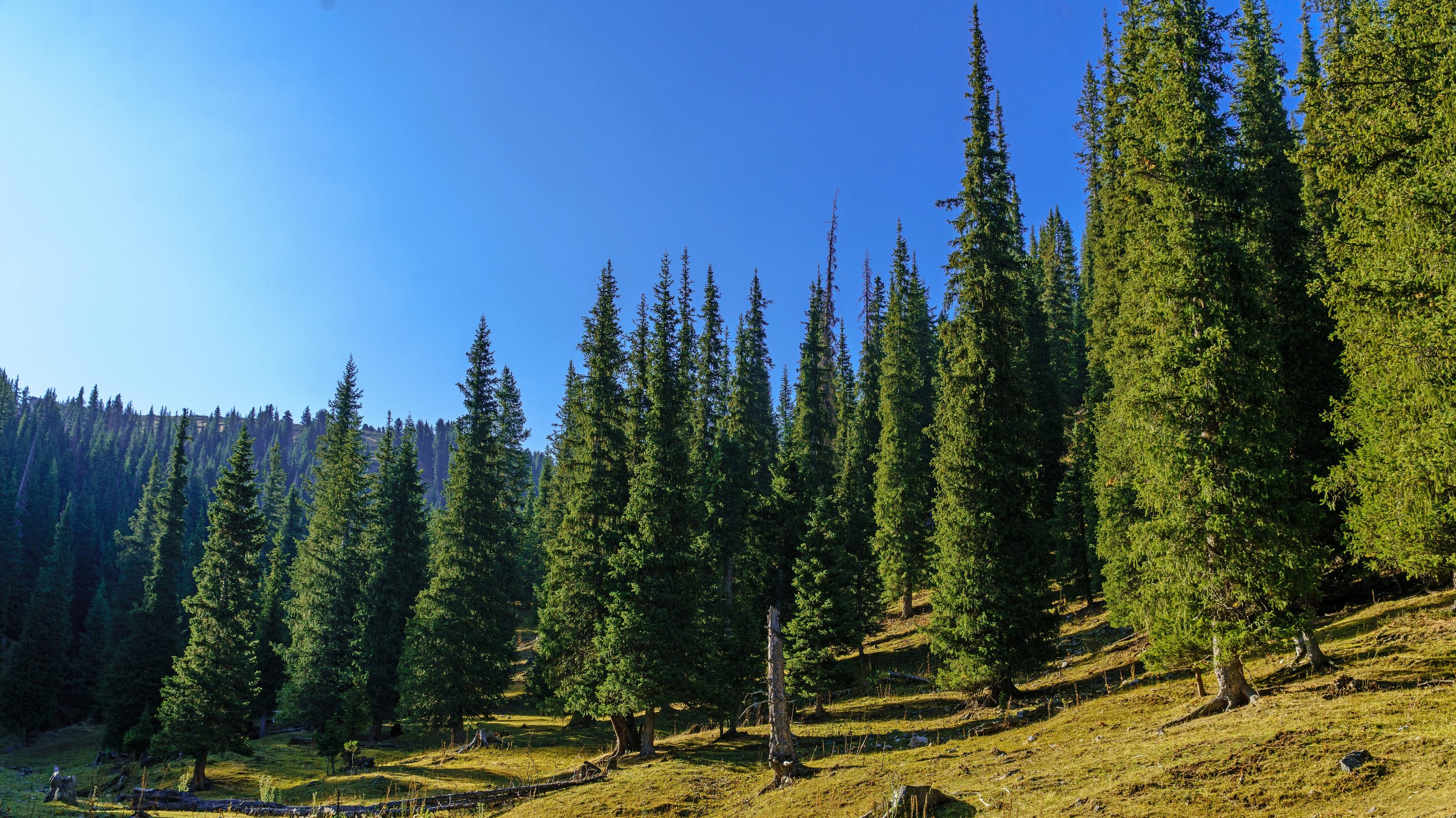 央企在资本赛道上“开挂”了吗？