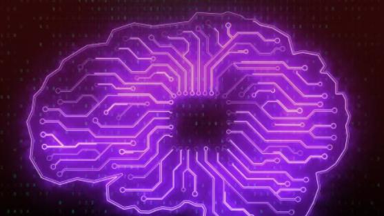 建立你的“外部大脑”：如何为你的“一人公司”打造自动化系统？