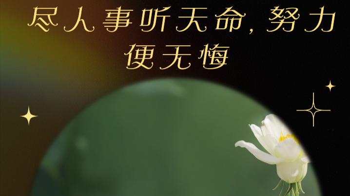 尽人事听天命，泰然处之