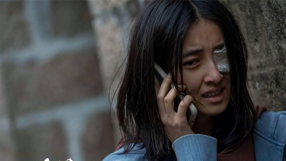 心理新三论：知名影评人刘志鸥心理视角内的《下一个台风》