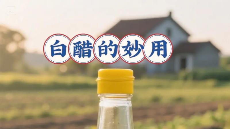 用白醋溶液清洗衣服上含色素饮料（可乐、果汁、奶茶、咖啡/茶不加奶）污渍的妙招