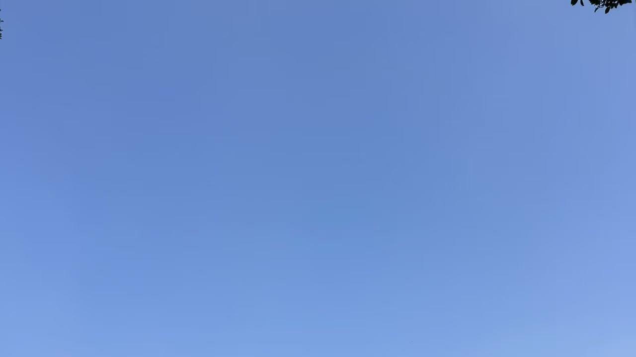 工厂的牛马不吃草，吃时间吃身体