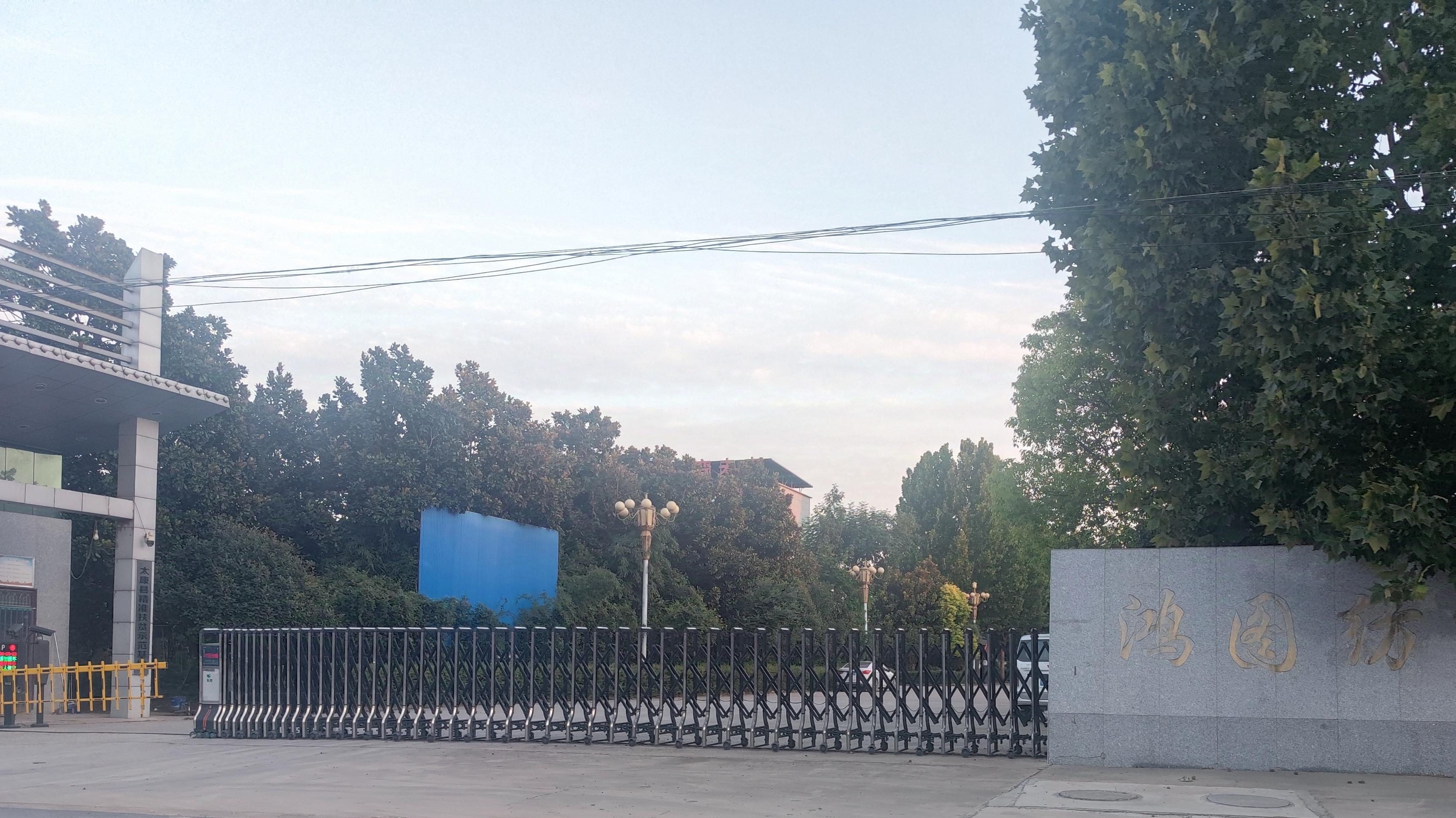 河南太康某恶势力骗取贷款数千万元逍遥法外