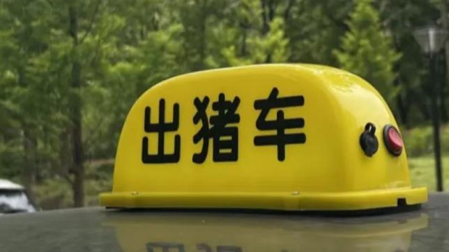 堵车路上，被这些网约车笑死了！哈哈哈哈哈