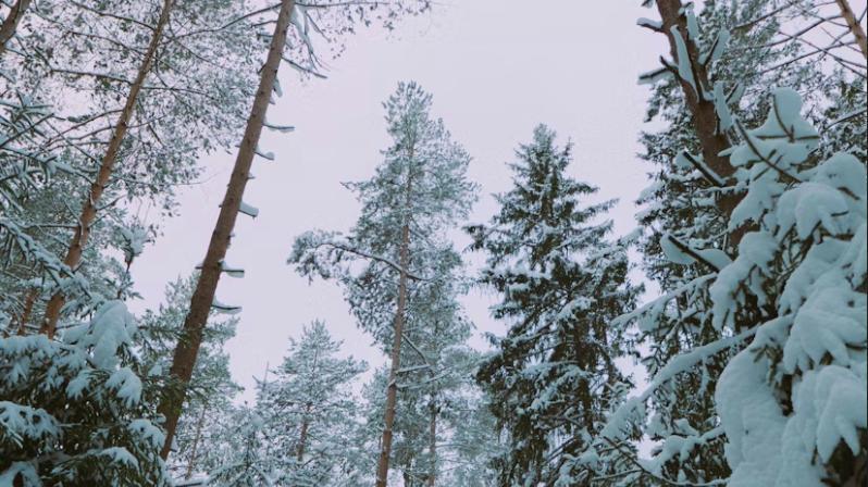 2025年度小程序制作平台都有谁？口碑好的小程序开发平台推荐