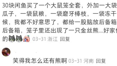 “没有在闲鱼上买不到的东西”，网友：我房贷在闲鱼还的，少一半