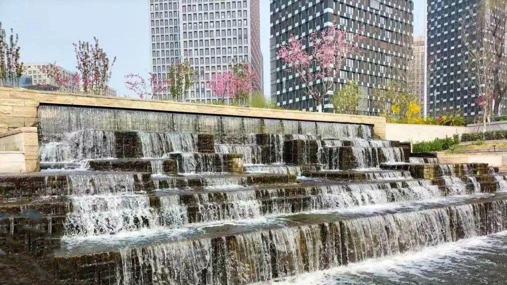 一街道走红，适合免费遛娃拍照，而且还有盛开的泡桐花海！