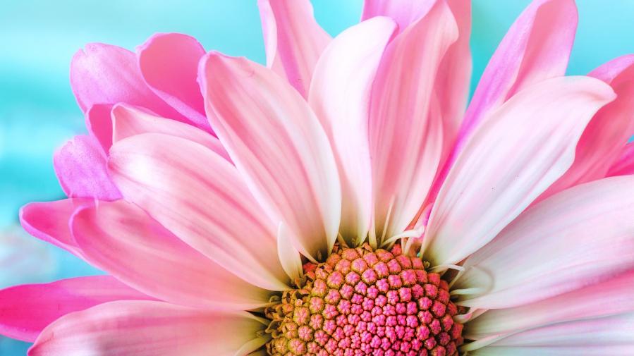 锅炉安全运维：碱度检测与风险防控体系