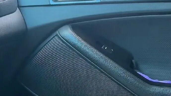 各行各业的桃李满天下家里结苦瓜