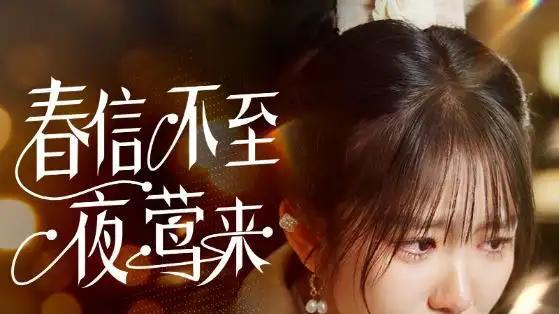 春信不至夜莺来（50集）冯易鑫: 春日未信，夜莺骤至，情缘暗生。
