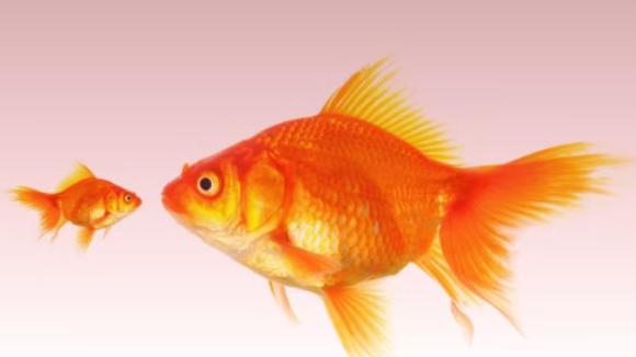 时薪500和时薪5000的教练，差别究竟在哪？