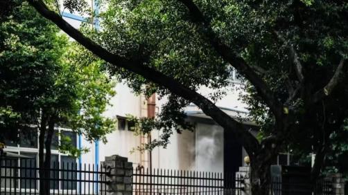 买了航海家之后，我成了朋友圈的“反骨”