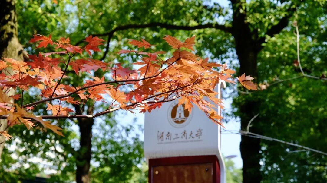 湖南工商大学怎么样？专业新、实践多、就业稳！