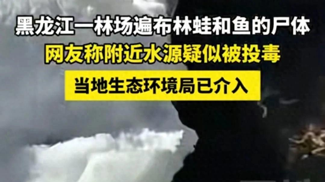 黑龙江一林场现大量动物尸体，网友称附近水源疑似被投毒!