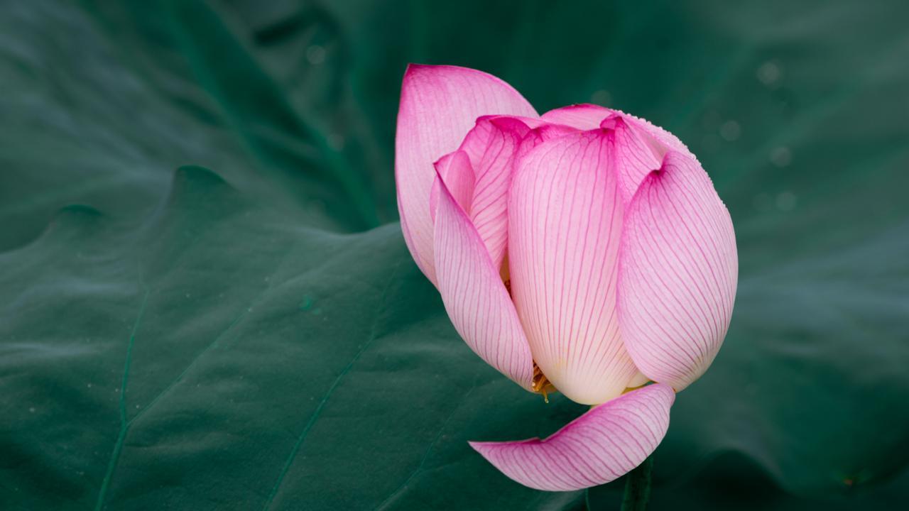 如果两个有家庭的人相爱了，请牢记这句话