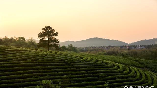 老话说：“二月怕廿五”，今日二月廿五，到底怕什么？看农谚咋说