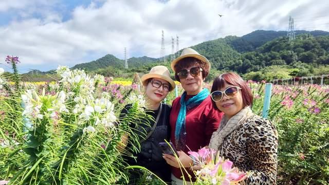 秋日限定，在卡玛缤纷花海，邂逅一群会拍照的“神仙阿姨”！