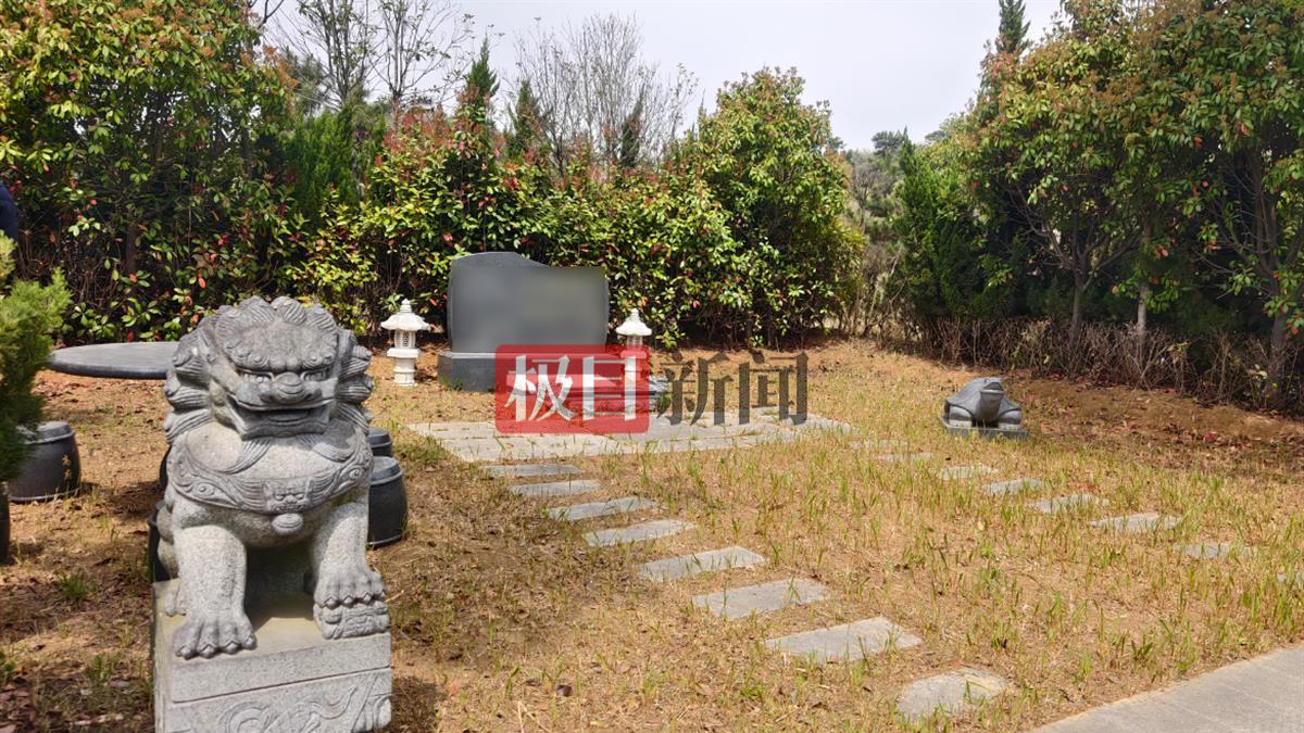 千亩山林建生态园，却违规建96座墓穴出售，多人已被判刑或处分