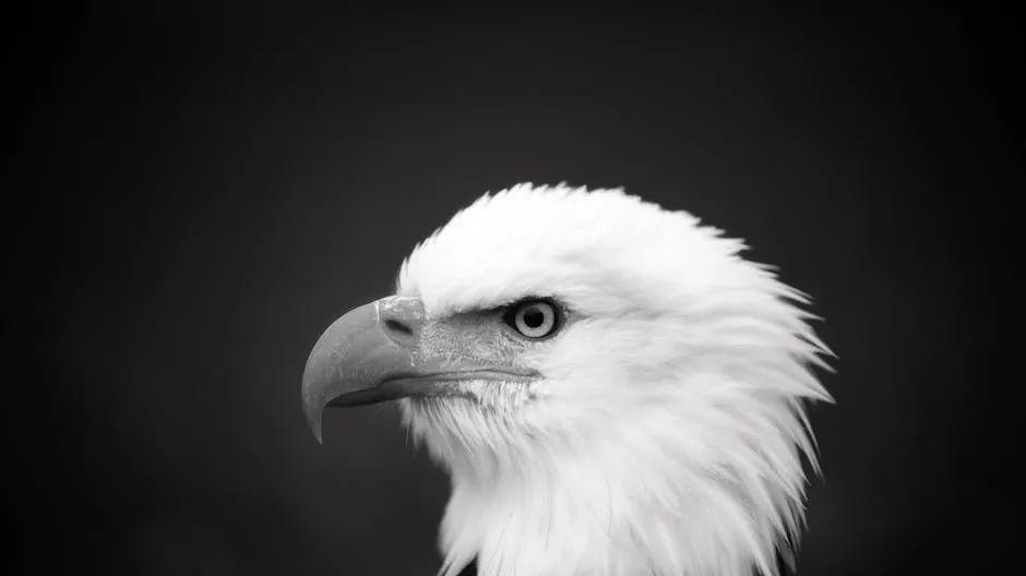 西方究竟是如何发展出个人主义的？