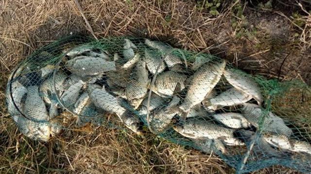 冬季野钓神奇钓法：不用饵料用泡沫，弹钓中绝杀大板鲫