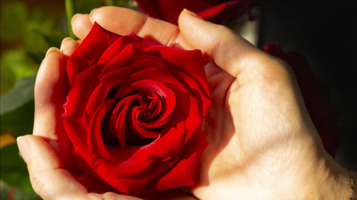 有远见的父母，都不愿和这5种家庭结亲，非常现实