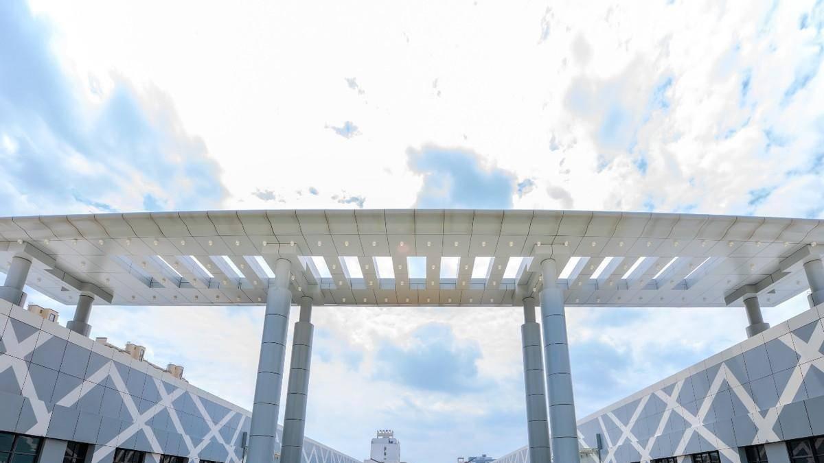 2026年浙江汽车职业技术学院继续教育学院成人高考报名招生简章