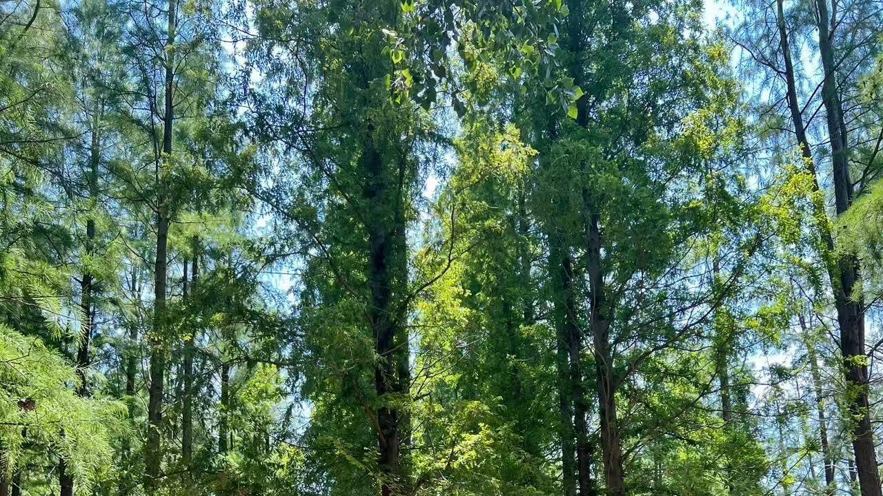 秋冬季节去日照怎么玩，超全旅行指南